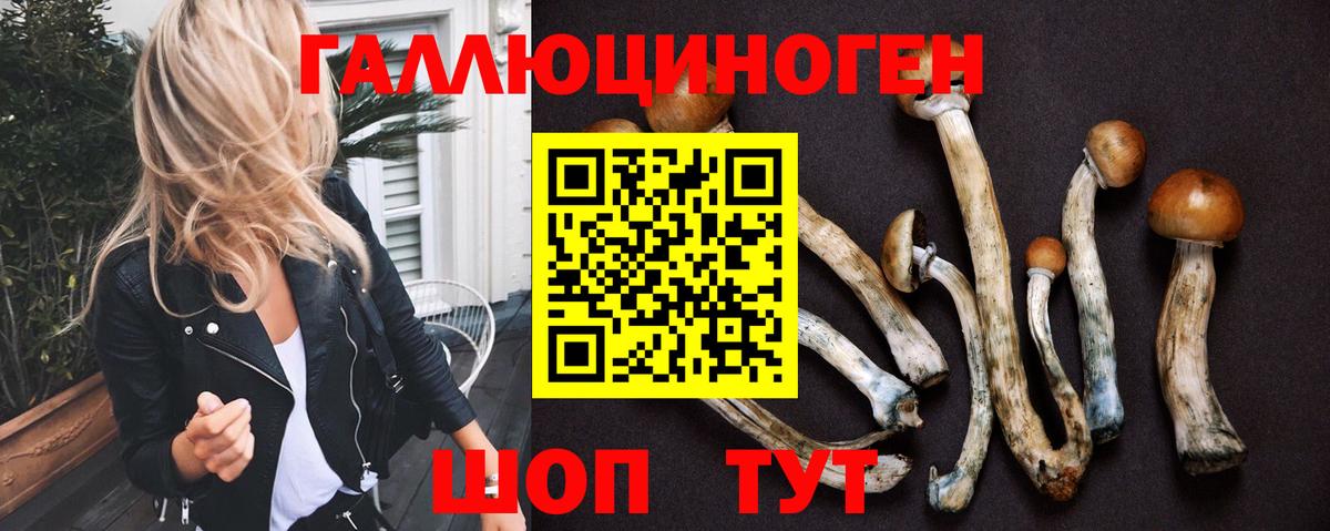 Еманжелинск  Псилоцибиновые грибы мицелий  Вход с VPN 